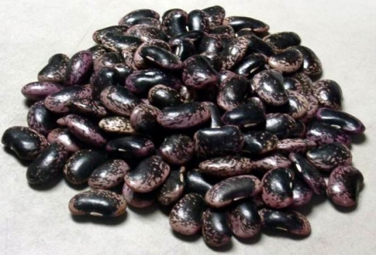 大黑花芸豆