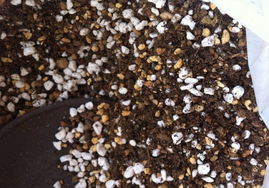 蛭石养殖多肉的用法：配土、发根均可,不建议用纯蛭石作基质