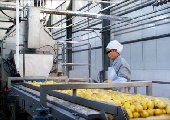 马铃薯淀粉的制造和用途：马铃薯淀粉的生产工艺及用途介绍