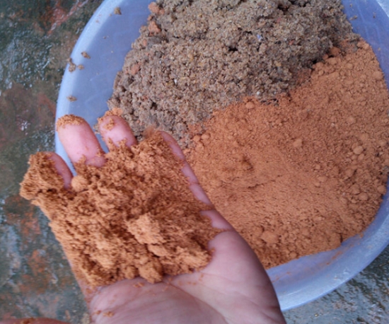 茶花烂根处理——红土加沙质土