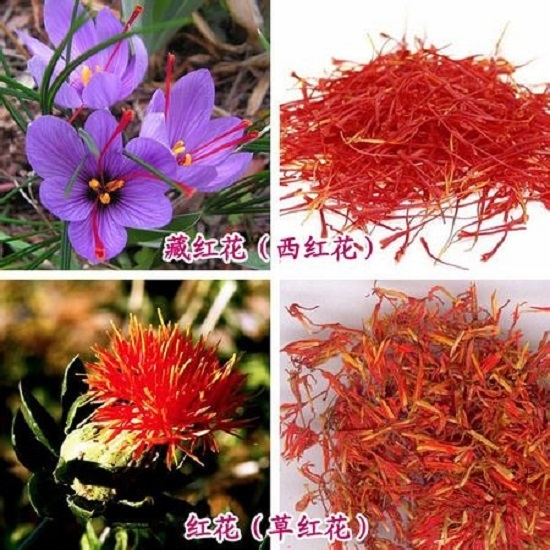 红花与藏红花的区别：藏红花和红花价格相差可达千倍