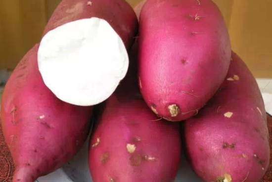 红薯的栽培技术