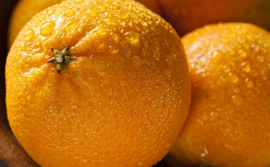 柑橘