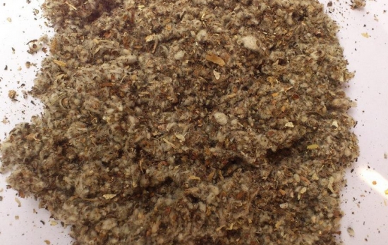 金针菇的栽培技术：培养环境温度和湿度很重要