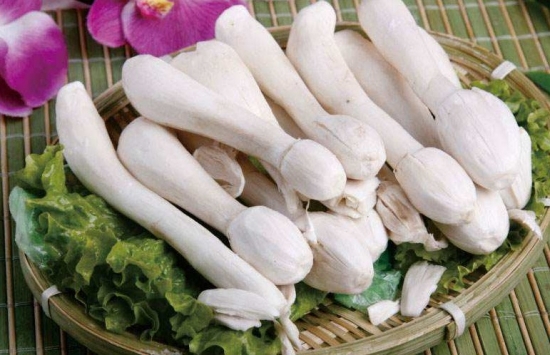 鸡腿菇的做法：营养丰富、口感极佳，经常食用有助于增强人体免疫力