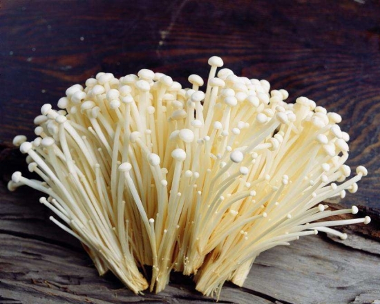 金针菇的介绍：是一种菌藻地衣类真菌，具有很高食用价值