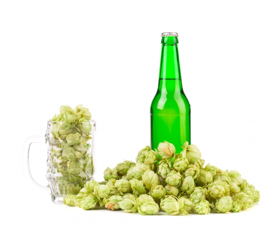啤酒花是什么：又叫酵母花、酒花，可用于酿造啤酒和药用