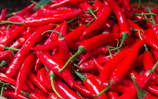 吃辣椒为什么会肚子疼：吃下辣椒后肠胃受到刺激，胃肠蠕动加速，胃液分泌增多，导致肚子疼。