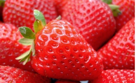草莓品种有哪些：中国自主培育和从国外引进的新品种有200-300个