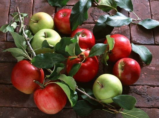 苹果树栽培技术：苹果喜欢寒冷干燥、日照充足的气候环境