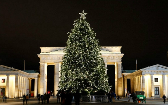 圣诞树是什么：一般常绿、直立、树形呈三角形的树种都可以装饰成圣诞树