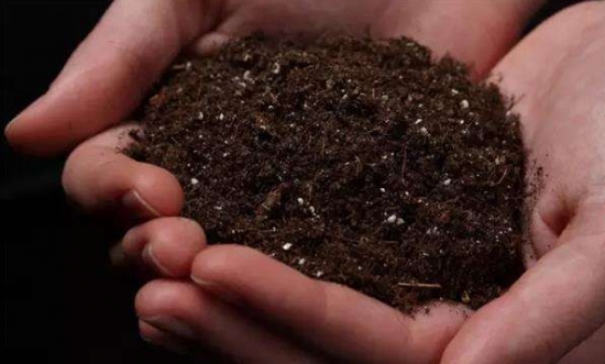 如何辨别土壤的酸碱性