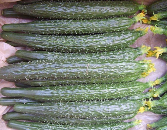 青瓜做法：青瓜是生熟两吃蔬菜富含多种营养元素