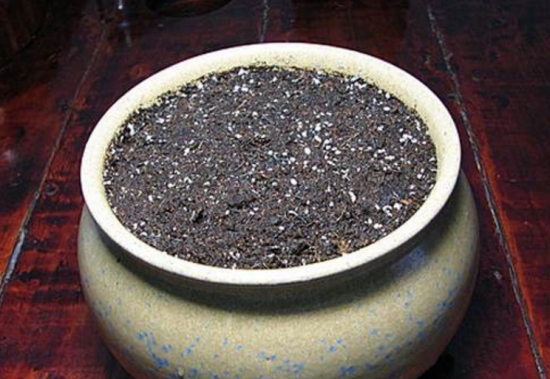 花盆和土壤