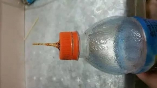 塑料瓶做浇水神器