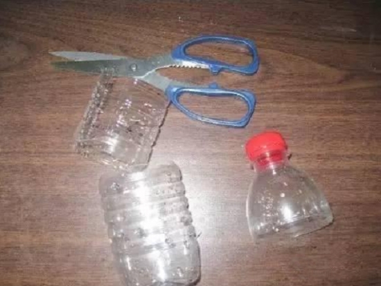 塑料瓶播种