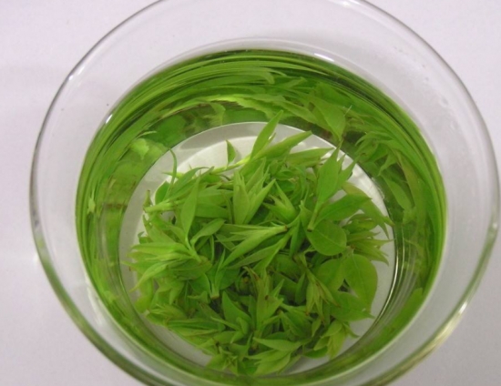 苦丁茶是什么：由冬青科属的常绿乔木的叶子经过加工、烘焙而制成的