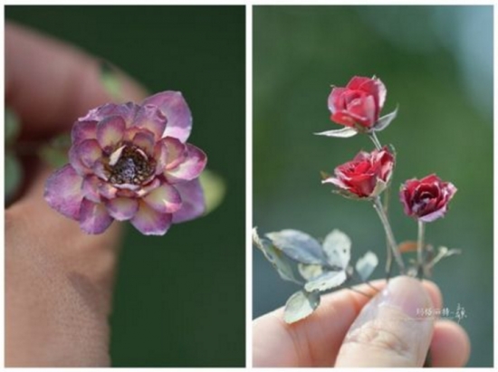 5种超简单又实用的干花制作教程，让花儿永不凋谢！