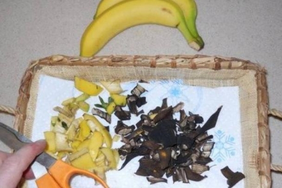 香蕉沤成营养土