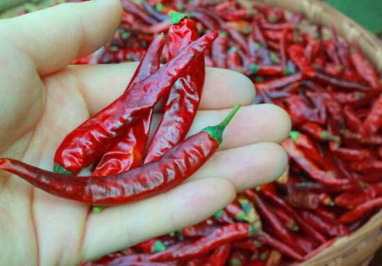 世界上最辣的十种辣椒