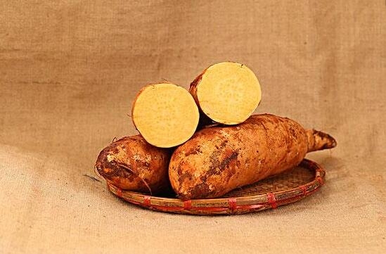 红薯多少钱一斤