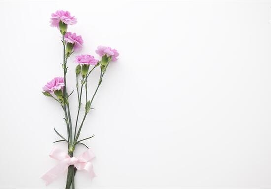 四大切花是什么:传统的四大切花包括月季,菊花