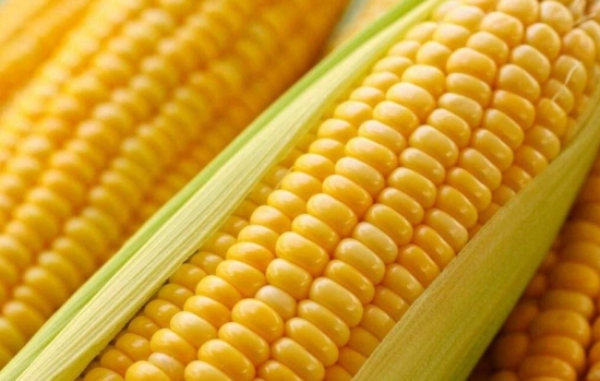 吃玉米有什么好处？玉米的功效与作用
