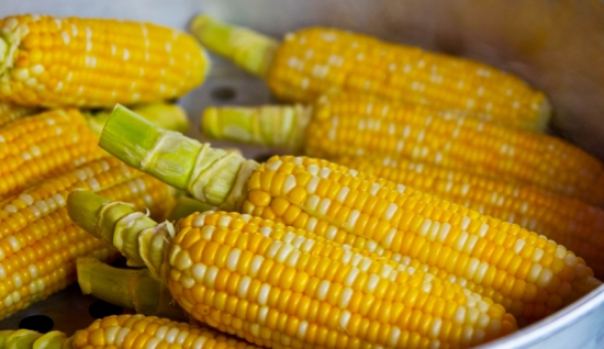 吃玉米有什么好处？玉米的功效与作用