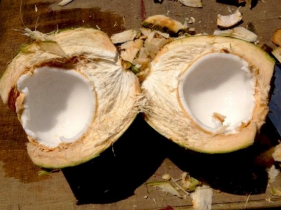 孕妇能吃椰子吗:孕妇可以食用椰子，还能防治便秘