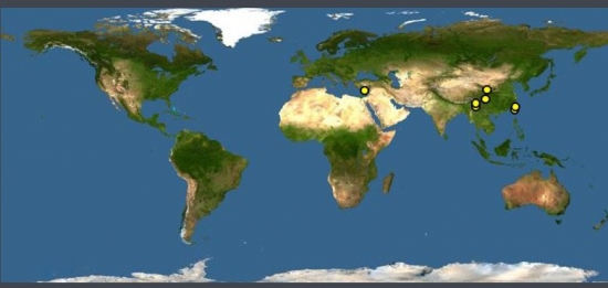 桫椤世界分布图