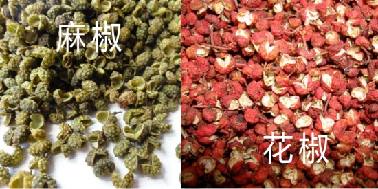 花椒和麻椒有什么区别：在味觉方面麻椒味道比花椒更重，而且特别的麻