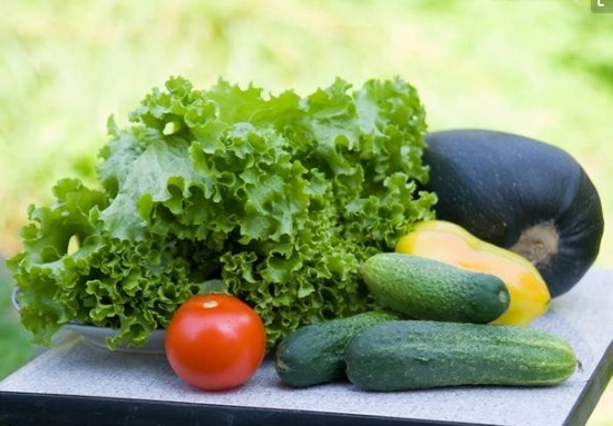 春季吃什么蔬菜：春季多食蔬菜绿色又健康！