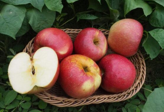 十种越吃越瘦的水果，教你如何吃出好身材
