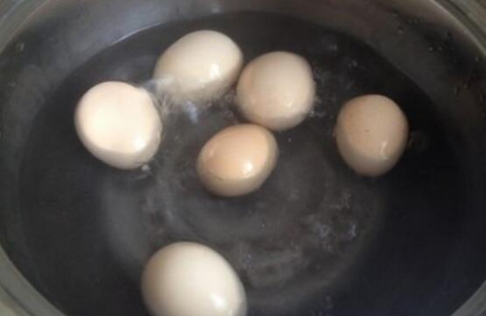 君子兰浇鸡蛋液可以吗，怎样用鸡蛋浇君子兰